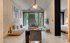Boga Mexico City By Lumina